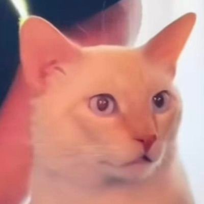 CrustyLewi's profile picture. crypto degen