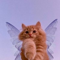 morgan𖦹°⭒˚。⋆ (@exhalespresso) 's Twitter Profile Photo morgan𖦹°⭒˚。⋆ (@exhalespresso) 's Twitter Profile Photo