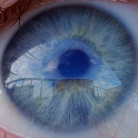 The Lover (@thestudent1000) 's Twitter Profile