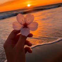 Ini (@obong____) 's Twitter Profile Photo