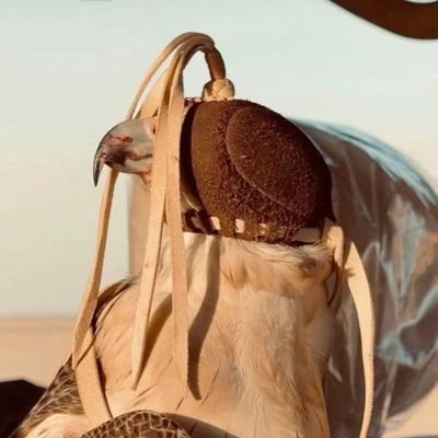 Mah_A818's profile picture. الحمد لله الذي جعل مفاتيح الرزق بيده ولم يوكِل بها أحدًا من خلقه