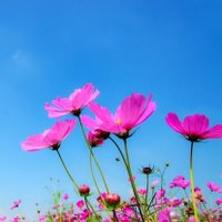 爽 (@3kmysgood7093) 's Twitter Profile Photo