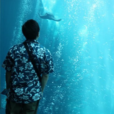 多趣味な変態です。自分の好きなこと、熱中していることについて呟きます。自分にとって大切な人たちの好きなこと、熱中していることを応援します。そんな変態です。