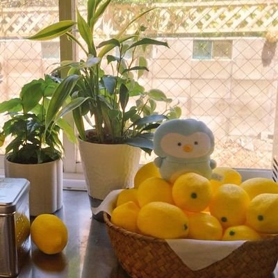 龍(秀悟)19日ティナリ🌻📸