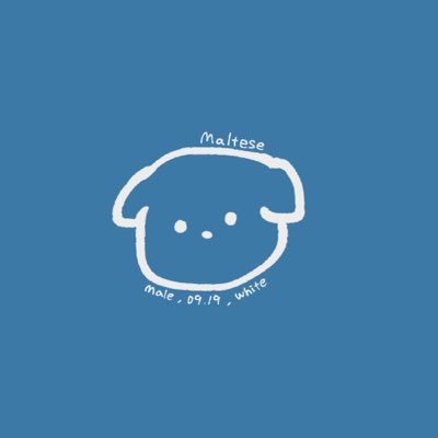 力リスさんのプロフィール画像