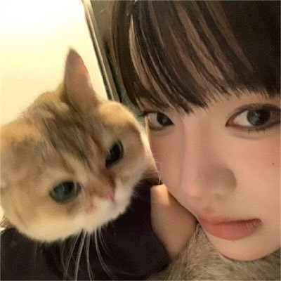 VtISZGkC2pUe1NQ's profile picture. 