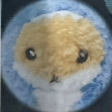 mming_ni62's profile picture. 나는 햄콜프리 근데 쮝해₍ᐢ•ﻌ.•ᐢ₎