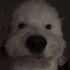 stoleherpanties (@st0leherpanties) Twitter profile photo stoleherpanties (@st0leherpanties) Twitter profile photo