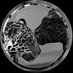 𝕹𝖆𝖘𝖊𝖊𝖒 𝖊𝖑𝖔𝖗𝖏𝖆𝖓𝖞🪬🐆 (@anntaylor4659) Twitter profile photo 𝕹𝖆𝖘𝖊𝖊𝖒 𝖊𝖑𝖔𝖗𝖏𝖆𝖓𝖞🪬🐆 (@anntaylor4659) Twitter profile photo