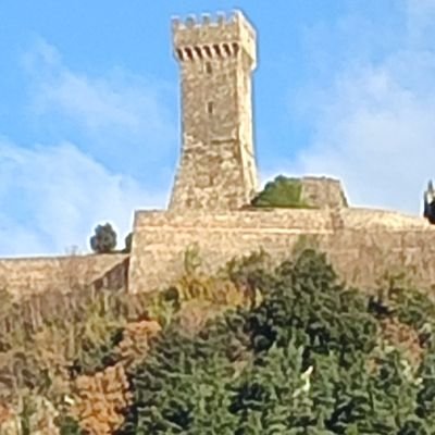Goi0Gio's profile picture. Chi segue gli altri non arriva mai primo