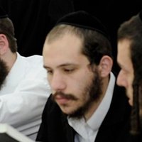 יוסף חיים (@yosef_chaim2010) 's Twitter Profile