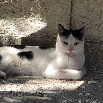 elisa003739463's profile picture. 