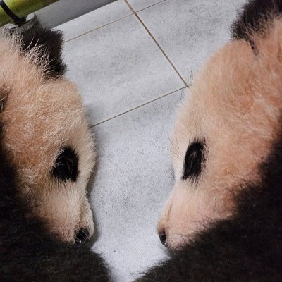 Glenda17800's profile picture. ฉันรักคุณในทุกจักรวาล