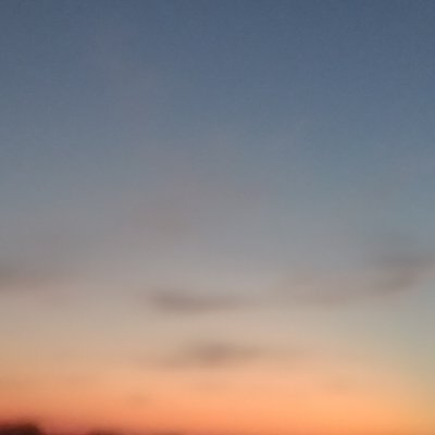 Anonymous13443's profile picture. 