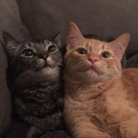 . (@aysepyy16) 's Twitter Profile Photo