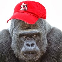 Joe Young (@joeyoung324529) 's Twitter Profile