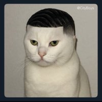 Apexx (@ephraim_zee3) 's Twitter Profile
