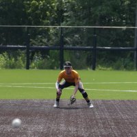 Alexander Wallace (@alexanderw20198) 's Twitter Profile