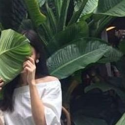 Ypreekir78570's profile picture. 