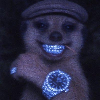 Snip3r๐๐ Profile