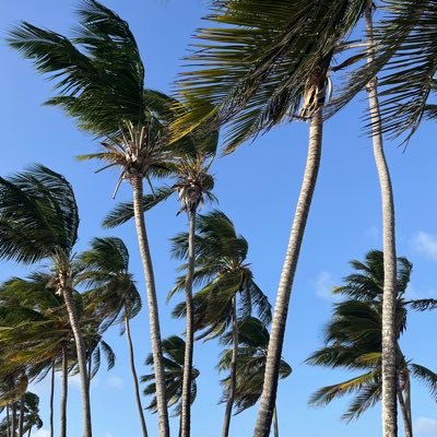 AnandaMR_'s profile picture. 