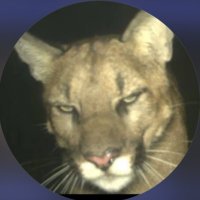 π (@taehyunglens) 's Twitter Profile
