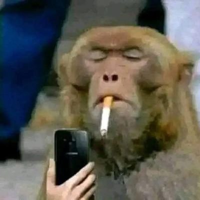 rummer563648018's profile picture. The jury is still out?