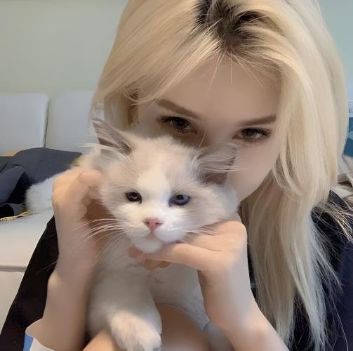 Iviba_cs's profile picture. 同城上门服务 快速预约点击蓝色文字 https://t.co/SJ1rOBn5Yi 学生妹 空姐 萝莉 少妇 包您满意