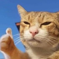 월월월 (@aeworkworkwork) 's Twitter Profile Photo