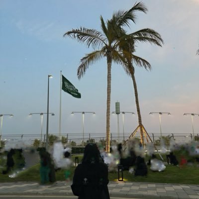 SadeemJah_'s profile picture. Software Engineering Student at @UOFjeddah