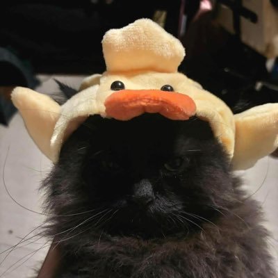 joshnotmatter's profile picture. Self-proclaimed Thaumaturge. Chief Augur of the Church of Starry Wisdom. PSN:Tempestron | DM if you liek @pathofexile | @joshnotmatter.bsky.social