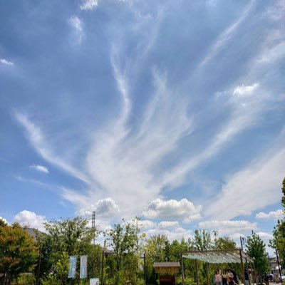 3093_mika's profile picture. スポーツ観戦記と日常。いろんな団体観に行きます。プロレス、飲食、多め。