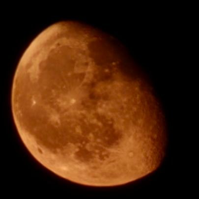 lemonaidz13's profile picture. 