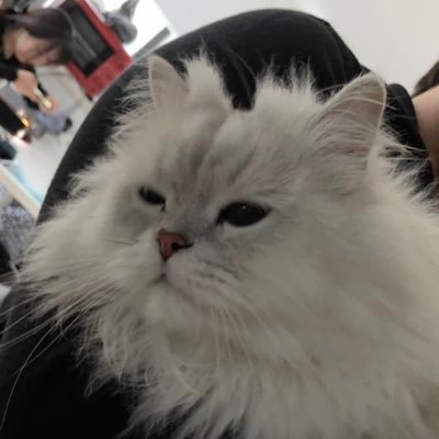 kEnnTh_zy's profile picture. 