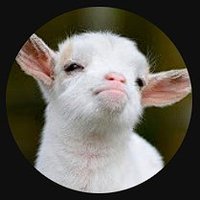 Kbro (@kbronproyectado) 's Twitter Profile
