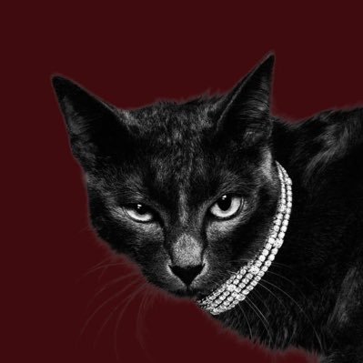 vee18v's profile picture. 