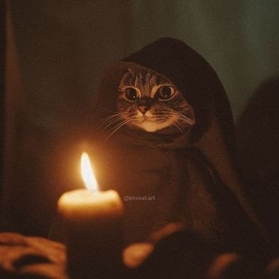 @MichidelMal_