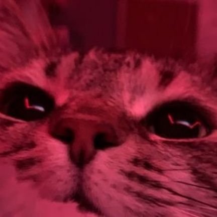 fred4o0's profile picture. 