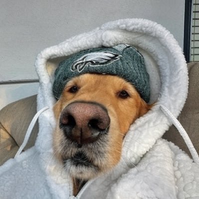 Financially retarded | Dog eat dog world | trade sol shitters wimme https://t.co/BMGMyYFCZZ?...