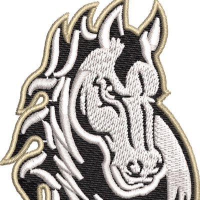 💥#4 Lauren #5 Charlotte #6 Yanni #10 Mackenzie #11 Kelly #12 Hailey #14 Kathryn #22 Kyia #24 Kiley #30 Rowan #33 Lorelai #44 Leigha💥 #NEXTLEVELREADY T3MAVS🥎