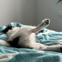 Faye Dway (@fayedway) 's Twitter Profile