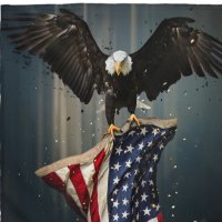 Jacqueline Maxwell (@sachink40625686) 's Twitter Profile