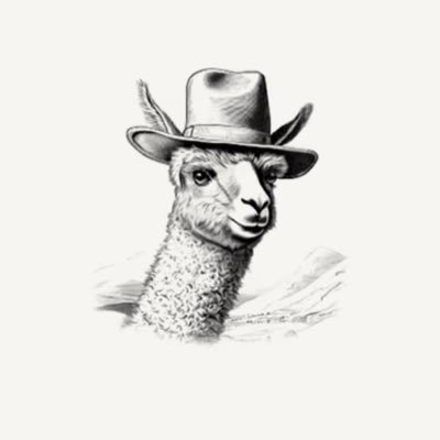 wmroa's profile picture. 