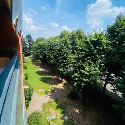 alixnaghiboi088's profile picture. heyyyy