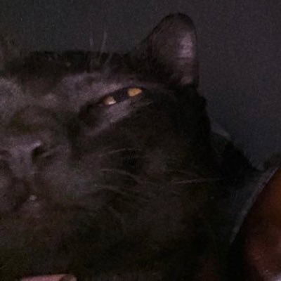 nineonchain's profile picture. Trying Stuff