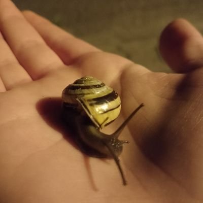 Ay, ay, ay
I'm your little butterfly
Green, black and blue
Make the colours in the sky