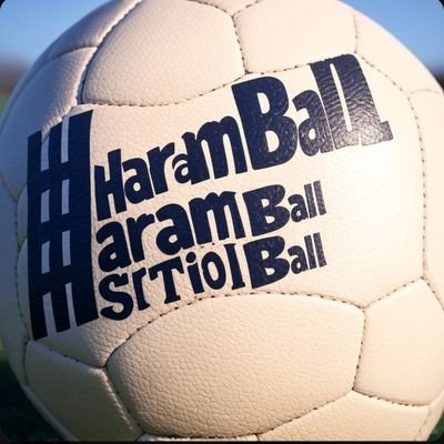 Haram ball | Troll |
Staggering to the top ⏫️
Footballharam@gmail.com