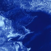loudoceans (@loudoceans) 's Twitter Profile