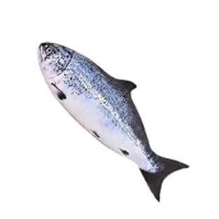 Luna__Tuna_'s profile picture. Dumbass Male furry. 18