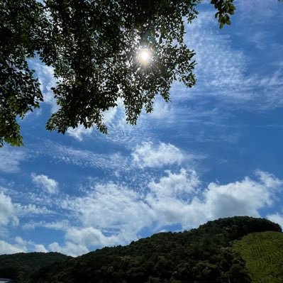 lirensi's profile picture. 이념 논쟁 싫어함 하지만 서민 답게 행동/실천하는 조그만 양심 갈망/평화/상상/말 많고 시늉하는  정치인들 싫음/노무현/조국